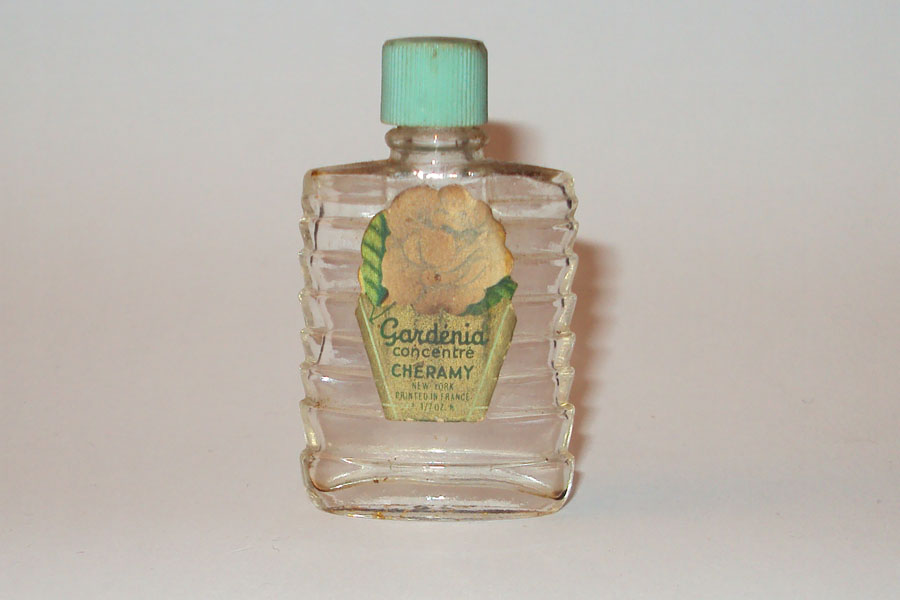 Miniature Gardenia de Cheramy Concentre Hauteur 5.2 cm 